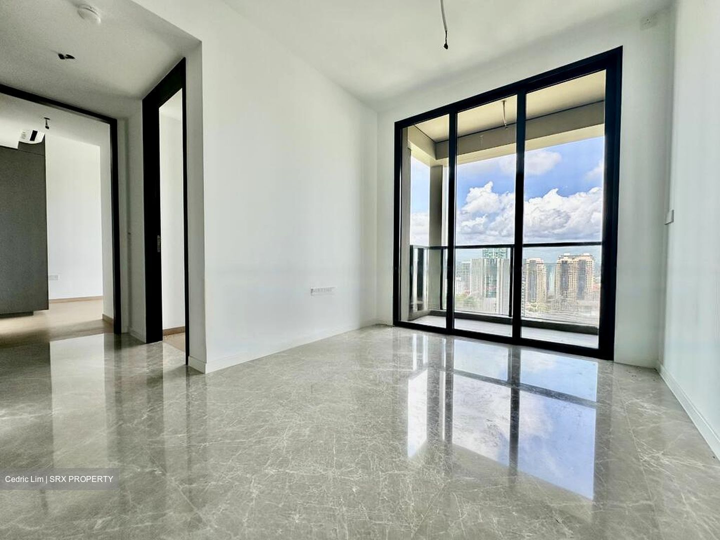 Irwell Hill Residences (D9), Apartment #455496821